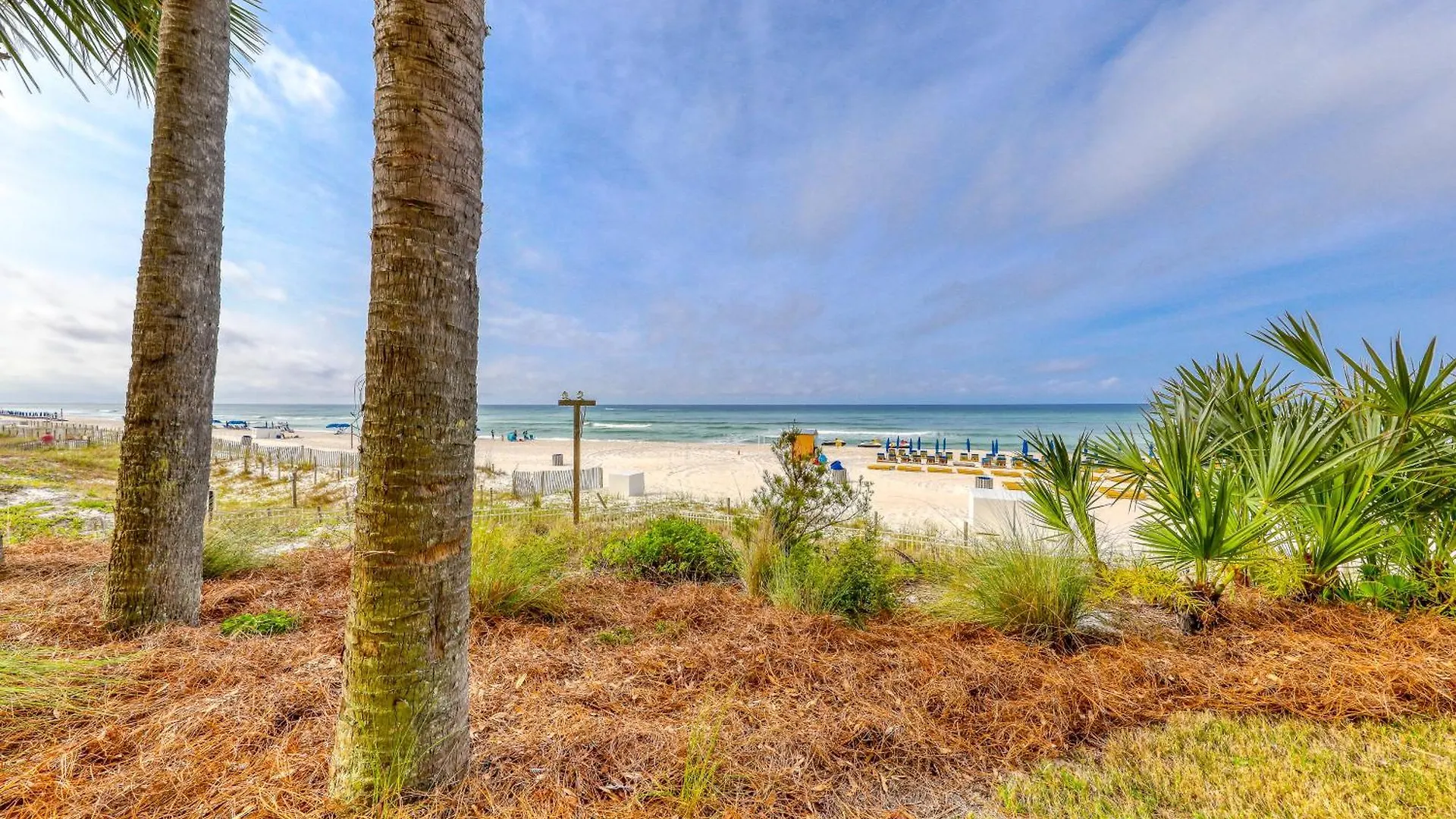 Calypso Resort Panama City Beach